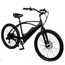 New Design Mountain/City Ebike Electric Adult Bicycle